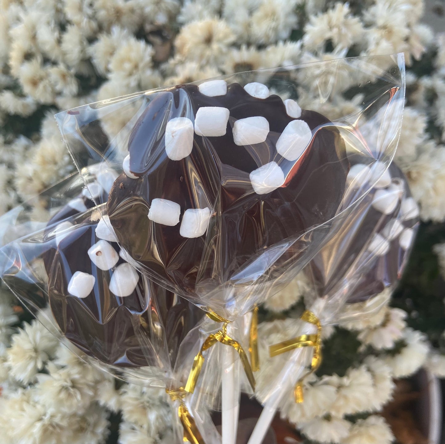 Cacao pops